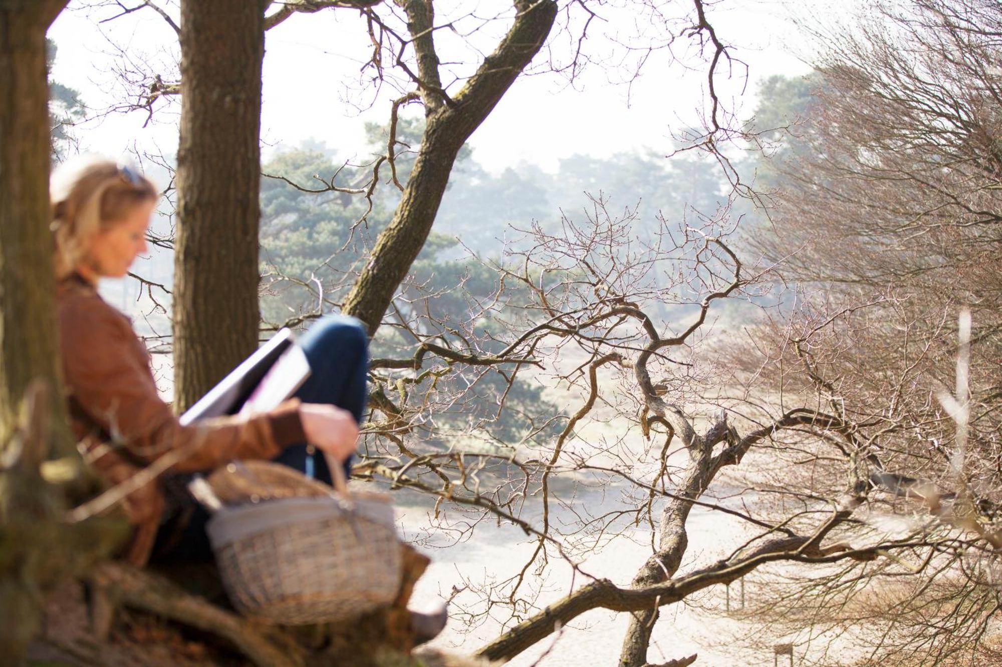 수스트 'T Eekhoornnest 빌라 외부 사진